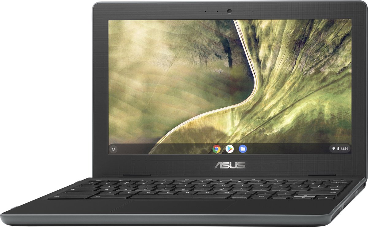 ASUS Chromebook C204MA-BU0230-BE Grijs 29,5 cm (11.6