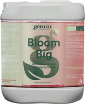 Gen1:11 Bloom big 5 ltr