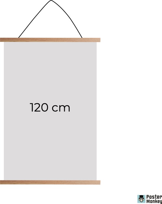 Porte-affiche 120 cm - Système de suspension magnétique pour affiche -  Vierge | bol.com