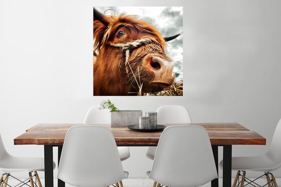 Poster Schotse Hooglander - Koeienkop - 75x75 cm