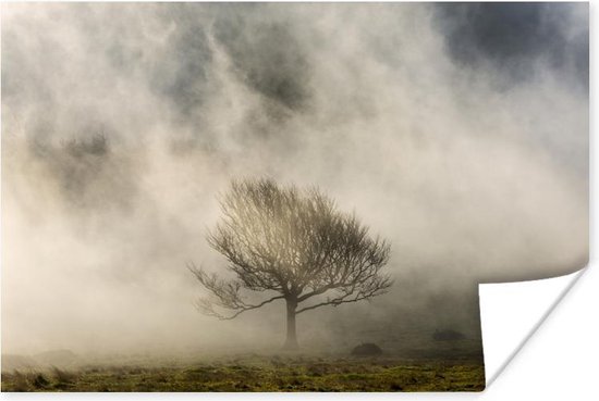 Eenvoudige boom in de mist Poster- Foto print op Poster (wanddecoratie)