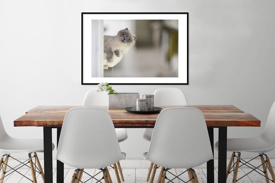 Chaton regarde le cadre photo de l'appareil photo noir avec tapis blanc 60x90