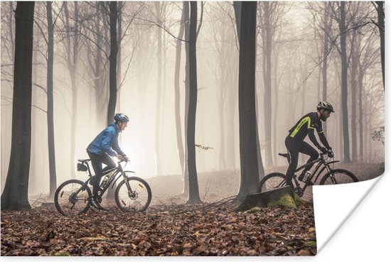 Affiche Sur un VTT sur un sentier forestier 120x80 cm - Tirage photo sur Poster (décoration murale salon / chambre) / Affiche de Sport