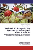 Biochemical Changes in the Lymnaea acuminata and Channa striatus
