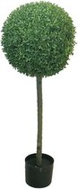 By Kohler Doos Princeville Topiary W / Pot 38 - 92x45x45cm (111205)