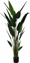 Kunstplant Strelitzia in pot 160cm