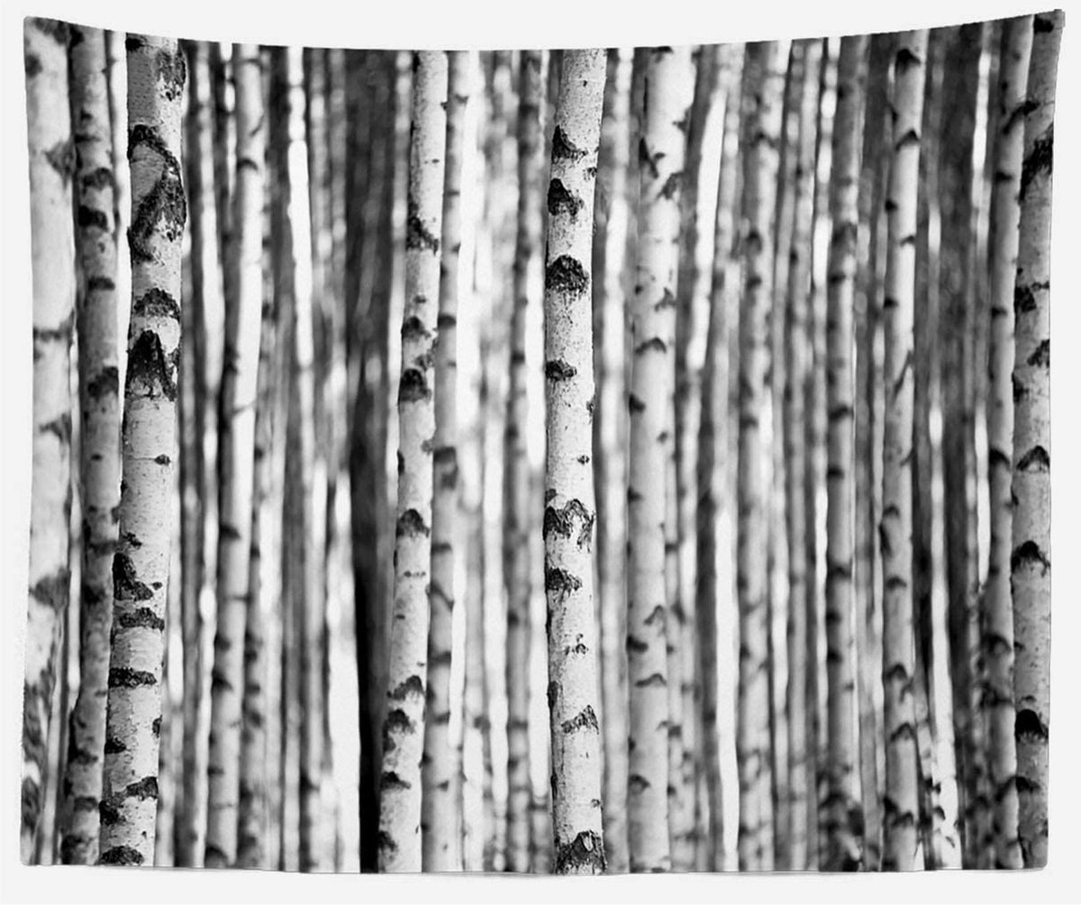 Ulticool Bomen Aesthetic Natuur Zwart Wit Wandkleed Poster ulticool-bomen-aesthetic-natuur-zwart-wit-wandkleed-poster