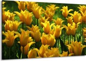 Schilderij Op Canvas - Groot -  Tulpen - Geel, Groen - 140x90cm 1Luik - GroepArt 6000+ Schilderijen Woonkamer - Schilderijhaakjes Gratis