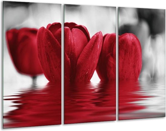 GroepArt - Schilderij -  Tulpen - Zwart, Rood, Grijs - 120x80cm 3Luik - 6000+ Schilderijen 0p Canvas Art Collectie