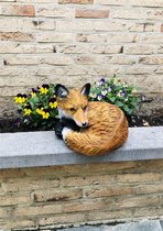 Vos liggend bruin krul 22 cm hoog - polyester - polyresin - polystone - hoogkwalitatieve kunststof - decoratiefiguur - interieur - accessoire - voor binnen - cadeau - geschenk - tuinfiguur - 