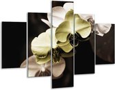 Peinture sur verre d'orchidée | Vert, noir, gris | 100x70cm 5Liège | Tirage photo sur verre |  F002725