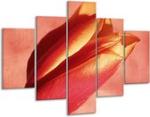 Glasschilderij -  Tulp - Rood, Oranje, Geel - 100x70cm 5Luik - Geen Acrylglas Schilderij - GroepArt 6000+ Glasschilderijen Collectie - Wanddecoratie- Foto Op Glas