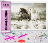 Compleet Full Diamond Painting voor volwassenen en kinderen - Paarden zeezicht - 30x40cm volledig pakket met accessoires - Cadeau tip