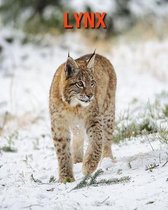 Lynx