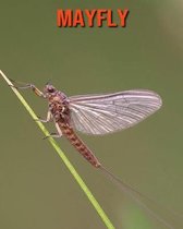 Mayfly