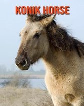 Konik Horse