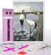 Compleet Full Diamond Painting voor volwassenen en kinderen - Kraanvogels natuur - 30x40cm volledig pakket met accessoires - Cadeau tip