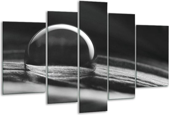 Glasschilderij Macro - Grijs, Zwart, Wit - 170x100cm 5Luik - Foto Op Glas - Geen Acrylglas Schilderij - 6000+ Glasschilderijen Collectie - Wanddecoratie