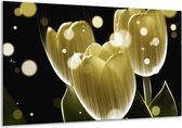 Peinture sur verre tulipe | Noir jaune | 120x70cm 1Hatch | Tirage photo sur verre | F005002