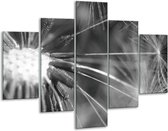 Glasschilderij -  Bloem - Grijs, Zwart - 100x70cm 5Luik - Geen Acrylglas Schilderij - GroepArt 6000+ Glasschilderijen Collectie - Wanddecoratie- Foto Op Glas