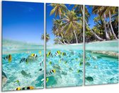 Glasschilderij Natuur - Blauw, Groen - 120x80cm 3Luik - Foto Op Glas - Geen Acrylglas Schilderij - GroepArt 6000+ Glas Art Collectie - Maatwerk Mogelijk