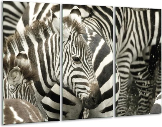 Glasschilderij Zebra - Zwart, Wit, Grijs - 120x80cm 3Luik - Foto Op Glas - Geen Acrylglas Schilderij - GroepArt 6000+ Glas Art Collectie - Maatwerk Mogelijk