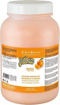 I.s.b. Vachtmasker Orange Fruit Of The Groomer 3000 Ml Oranje