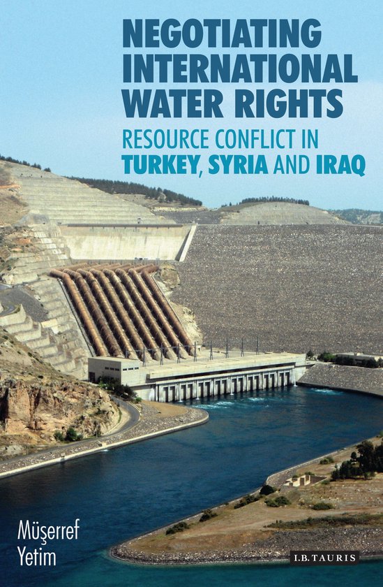 Negotiating International Water Rights - cover