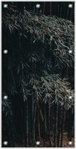 Tuinposter –Bamboe Bos– 100x200cm Foto op Tuinposter (wanddecoratie voor buiten en binnen)