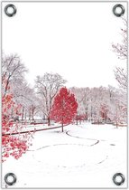 Tuinposter –Rode Boom in de Winter– 60x90cm Foto op Tuinposter (wanddecoratie voor buiten en binnen)