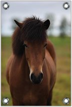 Tuinposter –Bruin Paard– 60x90cm Foto op Tuinposter (wanddecoratie voor buiten en binnen)