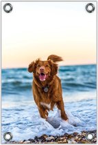 Tuinposter –Rennende Hond bij de Zee– 60x90cm Foto op Tuinposter (wanddecoratie voor buiten en binnen)