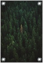 Tuinposter –Bos met Groene Bomen– 80x120cm Foto op Tuinposter (wanddecoratie voor buiten en binnen)