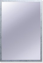 Spiegel Torino Zilver