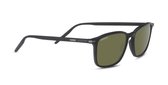 Serengeti Lenwood 8930 Matt Black Polar Green 555NM