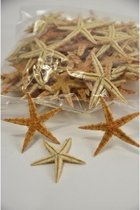 Schelpen - Sugar Starfish 5-7cm Natural 100pcs
