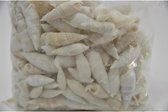 Schelpen - Shell Cerithium Vertagus 1kg