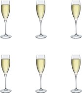 Galileo Champagneglas - Luxe Champagneglazen - 26 cl - 6 stuks