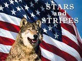 Stars & Strips Wolf, wand- reclamebord 30x40cm