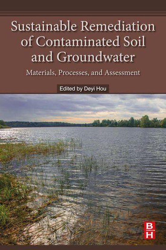 Sustainable Remediation of Contaminated Soil and Groundwater - cover