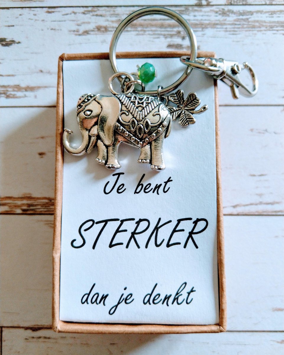 Geschenkbox " Je bent sterker dan je denkt " Grote geluks Olifant sleutelhanger