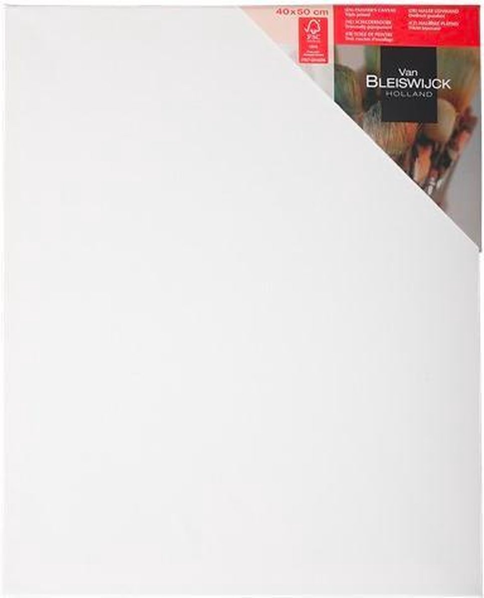 Schildersdoek - canvas - 40 x 50 cm - 3 stuks | bol.com