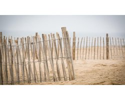 Foto: 
