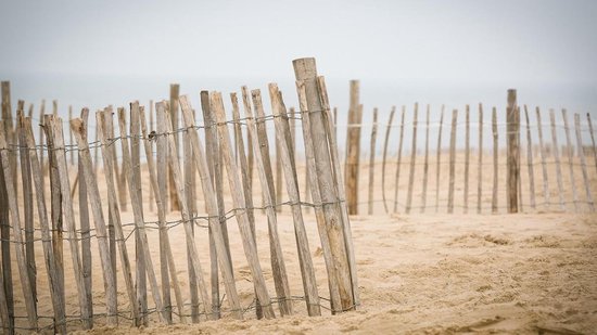 Foto: 