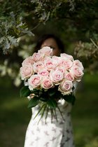 Twintig roze rozen - verse rozen bestellen - roze rozen direct van de kweker