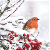 Ambiente - Robin in Snow - papieren lunch servetten - 33x33cm - 20 servetten - Vogel - Sneeuw - Winter