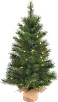 Black Box Trees - Lawson kerstboom met burlap led werkt op batterijen groen 40L TIPS 102 - h90xd48cm - Kerstbomen