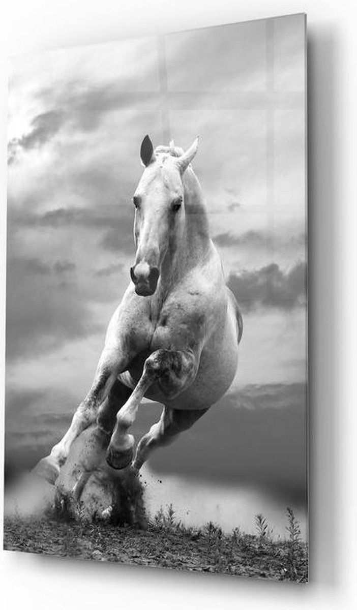 Insigne Glazen Schilderijen - Dieren - Rennende Paard - Glasschilderij - 72x46 cm - 4 mm