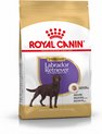 Royal Canin Labrador Retriever - Sterilised - Hondenbrokken - 12 KG