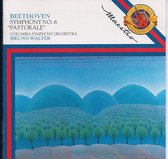 Beethoven -  Symphony No. 6  "Pastorale"